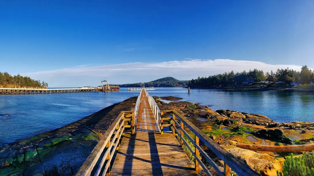 Boardwalk near Sturdies Bay